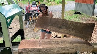 #13 - Milling a Stunning Black Walnut Log