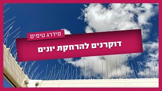 דוקרנים להרחקת יונים - הכל על דוקרנים ליונים