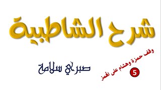 الدرس 41 من شرح الشاطبية || وقف حمزة وهشام علي الهمز5 || د. صبري سلامة