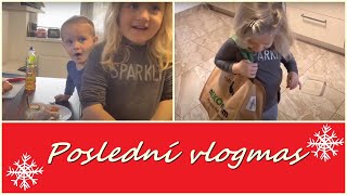 ❄ Poslední vlogmas ❄