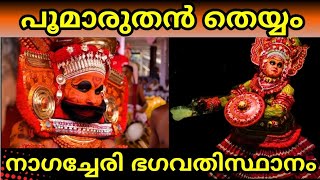 പൂമാരുതൻ തെയ്യം | Poomaruthan theyyam #theyyam #nileshwar #theyyamnileshwar