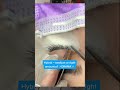 difference between classic hybrid volume eyelash extensions beginner lash artist yegilashtips