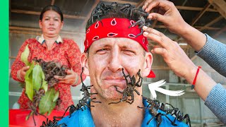 Tarantula Catch and Cook!! 10 Levels of Bug Eating in Asia!!