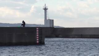 １月１４日土曜日　みなべ町堺堤防の釣り人