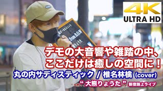 【4K】優しい癒しの空間に！　丸の内サディスティック / 椎名林檎（cover）\