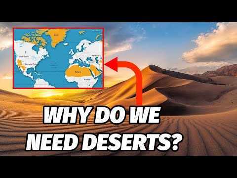 What is the importance of the desert?
