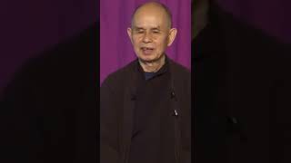 Don't Cover It Up with Consumption | Thich Nhat Hanh | #shorts