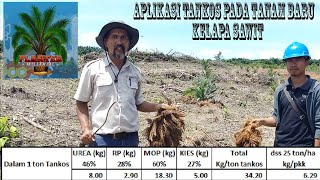 Aplikasi Tankos Pada Areal Tanam Baru di Perkebunan Kelapa Sawit By. Bpk Siswanto - Agronomist USTP