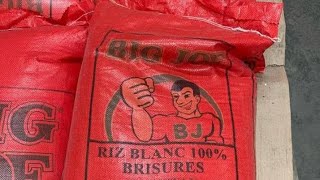 La culture du riz : une énorme opportunité agricole pour le Cameroun