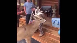 🤯HUGE BUCK chugging a beer