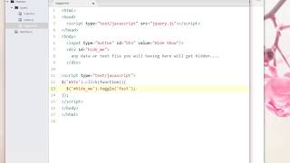 02 Jquery Toggle Function