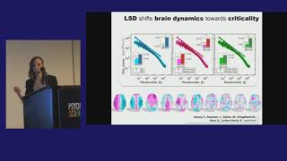 Selen Atasoy: LSD and Criticality - Reorganization of brain dynamics at the edge of chaos