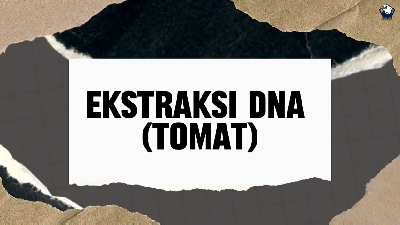 Laporan Praktikum Ekstraksi DNA Dari Tomat - YouTube