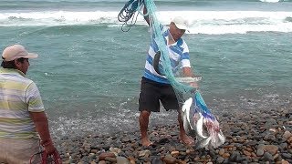 Wow Amazing Fishing - Cambodia Traditional fishing - How to Catches Fish