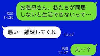 介護が必要になった義母が「一緒に住んで面倒を見てほしい」と頼み、夫が「絶対にダメ」と反対しているが、実は…