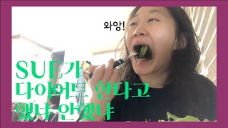 [fromSUE] 다이어트는 8할이 식단이라묘?? 확찐자가 되어버린 쑤의 필살! 다이어트 식단 일기|다이어트 식단|