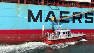 Harbor Pilot Disembarks a Containership