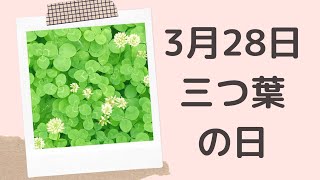 【３月２８日】今日は何の日？三つ葉の日「トランプのクローバーの意味とは？」