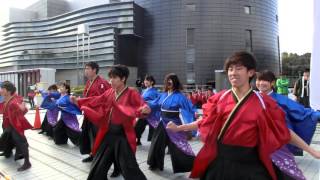 京都マラソン2016　京炎そでふれ！彩京前線　team大空