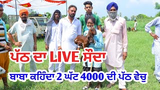 ਬਾਬਾ ਸਿਰਾ ਕਰਵਾ ਗਿਆ || #live_sauda || Pandher bakra mandi @ILTILANATV