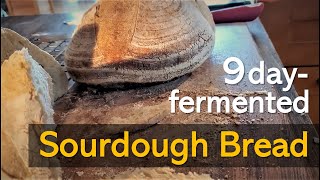 와인 향기가 솔솔 나는 깜빠뉴 |  Sourdough bread with scent of wine