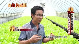 古法熬煉麥芽膏　流動黑金闖有機通路20200725【台灣向錢衝】PART6