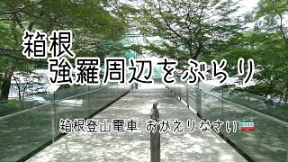 箱根 強羅周辺をぶらり　箱根登山電車おかえりなさい🚞     #35