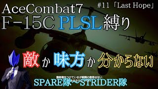 AceCombat7　直前まで敵か味方か分からない混迷の市街地戦　F-15特殊兵装PLSL縛り「Last Hope」