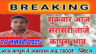 आजचे Live कापूस भाव 24 जनवरी 2025 || kapus bhav today #कापूसबाजारभावआजचे kapus rate aaj ka