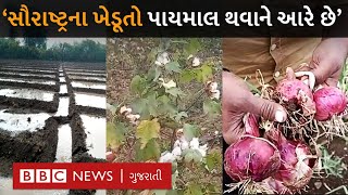 Gujarat Weather : સૌથી વધુ નુકસાન ખેડૂતને કયા પાકમાં થયું, જાણો Saurashtra ના ખેડૂતોનો વસવસો