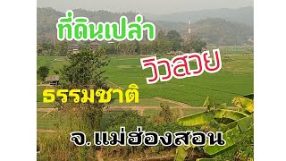 ep.1[พาชม] ที่ดินเปล่า เนินเขา ติดลำธาร มีไฟฟ้า @อ.เมือง จ.แม่ฮ่องสอน