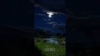 Beautiful Moon💞||Good Night Status||Nature Whatsapp Status Video ||#moonlight #shorts  #lofibes