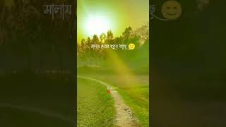 আসসালামুয়ালাইকুম ওয়া রহমাতুল্লাহ, উত্তর টা দিয়ে যাবেন ইন-শা-আল্লাহ #shorts #islami_videos