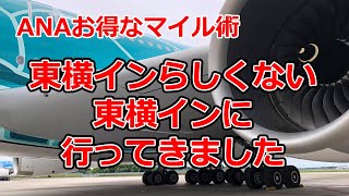 東横インらしくない東横インに泊まってきました【ANAお得なマイル術、有村歩侑（ポウ）】