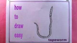 how to draw tapeworm diagram/diagram of tapeworm drawing