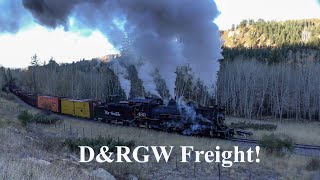 D&RGW Freight on Cumbres & Toltec Scenic Railroad!