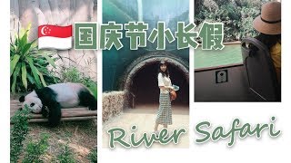 【🇸🇬国庆小长假vlog】一整天都专属新加坡  |YaKun Toast首吃| River Safari看大熊猫| Laksa汉堡