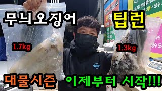 팁런 대물시즌 통영 갈도에서 시작합니다!!! 1.264kg 1.674kg 겟!!!