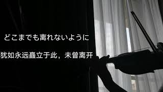 小提琴《名探偵コナン 紅の修学旅行 恋紅編》きみと恋のままで终われない いつも梦のままじゃいられない（恋人以上,无法满足的梦）