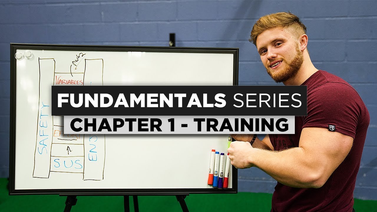 Training Basics & Theory | Chapter 1: The Fundamentals Series – WeightBlink