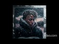 Juice WRLD - Arctic Tundra (Remix) [prod. sizzle)