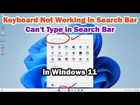 Как исправить «Не могу ввести текст в строке поиска в Windows 11 — клавиатура не работает в строке поиска»