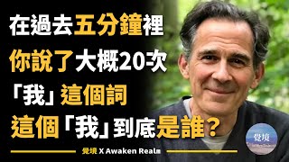 【鲁伯特斯皮拉】允許念頭存在，如果你不去理會它，它也不會來煩你 | Rupert Spira