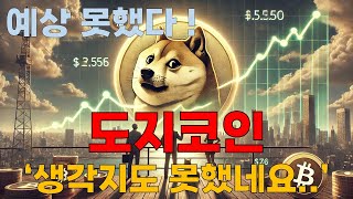 [도지코인 전망]  생각지도 못했던 내용.. 공개되었습니다