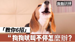 狗狗吠叫不停怎麼辦？教你6招有效的訓練技巧