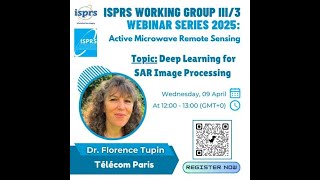 Deep learning for SAR image processing