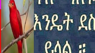 ያሰብንበት ለመድረስ ምን ያስፈልጋል?