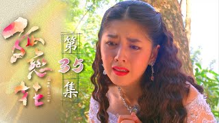 孤戀花 第35集 Magnolia EP35｜全集