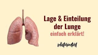 Lage \u0026 Einteilung der Lunge einfach erklärt! - Anatomie | Einteilung der Lunge in Segmente Medizin