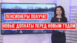 Какие Доплаты Получат российские Пенсионеры перед Новым годом